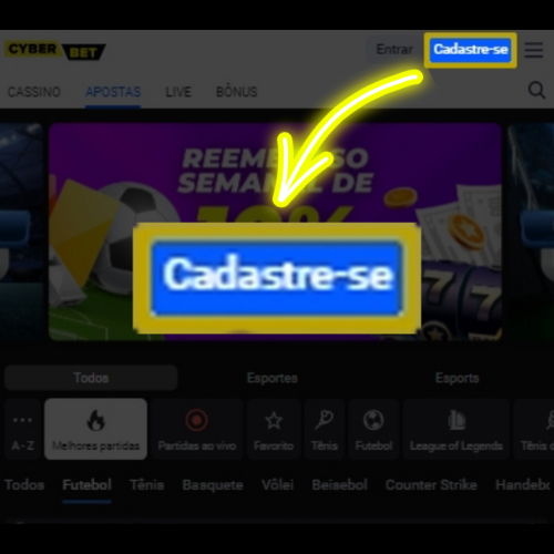 Bradikeirao