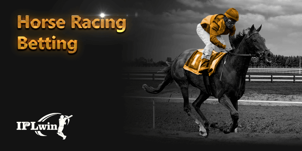 3lbet
